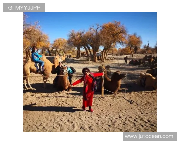 我不是天才足球明星但我依然热爱这项运动与追逐梦想的旅程
